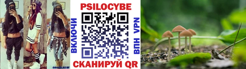KRAKEN вход  Нижние Серги  Псилоцибиновые грибы Psilocybine cubensis 